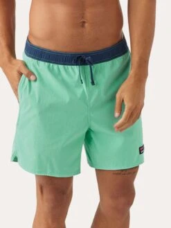 Patagonia Men's Stretch Wavefarer Volley Shorts 16in.