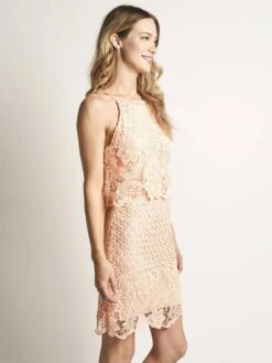 BB Dakota Bryn Dress -Every Wear Shop bi208830 salmonalt2