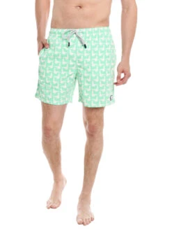 Tom & Teddy Men's Seagulls Volley -Every Wear Shop men seagulls springgreen 629638bf f8e2 481b 9597 0739d7f24204