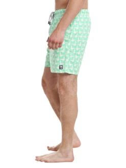 Tom & Teddy Men's Seagulls Volley -Every Wear Shop men seagulls springgreenalt2