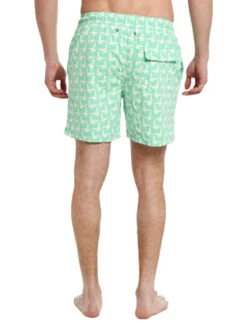 Tom & Teddy Men's Seagulls Volley -Every Wear Shop men seagulls springgreenalt3